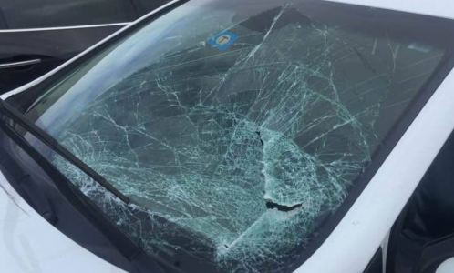 Screenshot 2026-02-20 at 6.36.50 p.m.