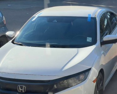 Screenshot 2026-02-20 at 6.37.16 p.m.