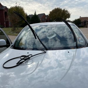 imgi_24_125206637_373488030655627_8855615652032375439_n